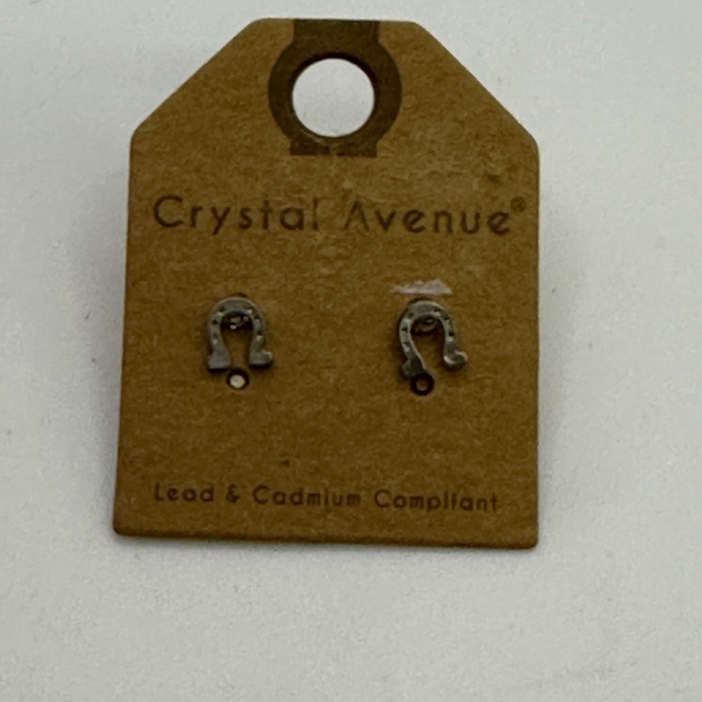 Silver Horseshoe Earrings